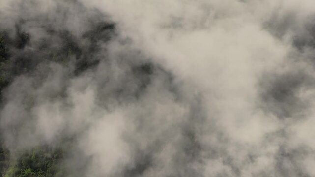 Lush Green Forested Mountain Slopes Blanketed By Dense Rolling Fog And Low White Clouds In Bali, Indonesia. - aerial shot