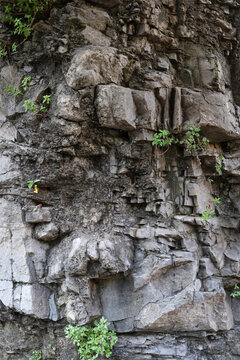 High-resolution texture of a rock cliff