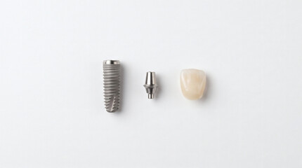 Fototapeta premium Titanium dental implant, abutment and ceramic crown arranged in a row on a white background