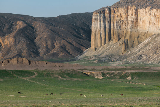 View of Airakty mountains rising above a green meadow with horses grazing in the foreground in Shetpe, Mangystau Region, Kazakhstan.