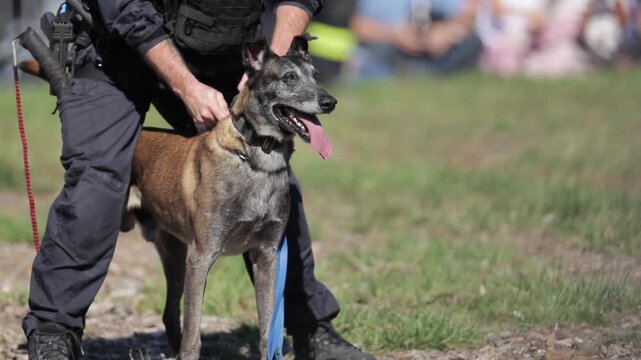 Professional K9 Unit Attack and Bite Training Demonstration