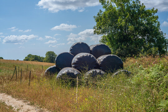 View of black plastic-wrapped hay bales stacked in a field with a dirt path, wire fence, and lush green trees under a blue sky in Bodinnick, England, United Kingdom.