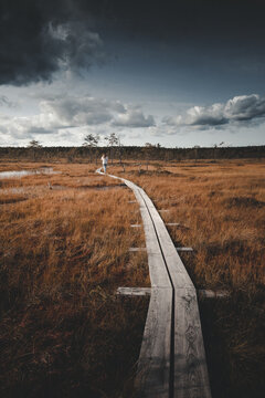 View of a person walking along a wooden boardwalk through the vast bog landscape of the Pohja-Korvemaa Nature Reserve under a dramatic cloudy sky in Harju County, Estonia.