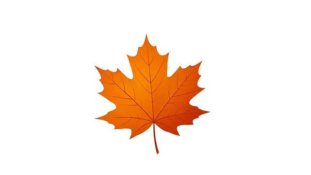 Rotating orange maple leaf animation on white background