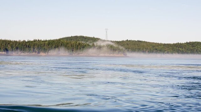 Dense coastal evergreen forest shrouded in low sea fog above calm ocean water under a clear blue sky in New Brunswick. Cinematic coastal boat view.