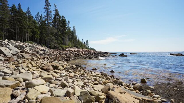 Rocky coastline and granite cobble beach bordered by dense pine forest along the shores of Schoodic Peninsula in Acadia National Park, Maine.