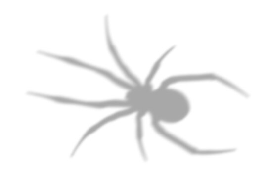 A terrifying shadow overlay effect for halloween background featuring a spider silhouette of hands in spotlight with scary hands with long isolated on transparent background