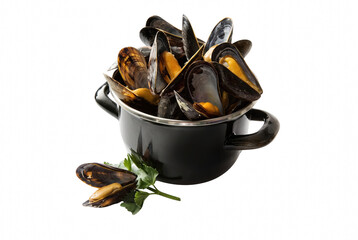 Freshly cooked mussels in a dark serving pot with parsley garnish © Khalilur