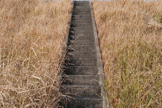 川の土手を上り下りするための階段