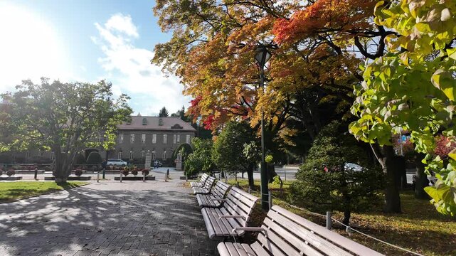 Odori Park in Sapporo with autumn foliage and wooden benches