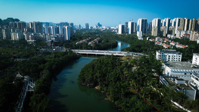 view of sanya mangrove park in hainan,china