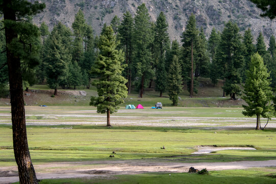 View of Rama Meadows with pine trees, colorful tents, and a vehicle in the distance, set against a mountainous landscape in Astore, Gilgit Baltistan, Pakistan.