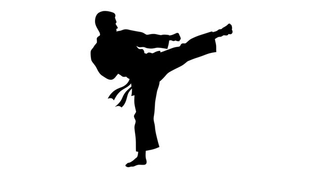 Martial Artist Performing High Kick Technique.