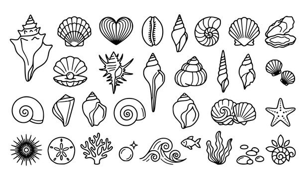 set of victory snail 