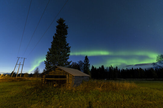 View of the northern lights glowing green in the night sky above a rustic wooden cabin and pine trees in the rural landscape of Levi, Kittila, Lappi, Finland.