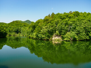 Lush green trees reflecting on a calm lake surface under a clear blue sky. Ideal for nature, travel, and environmental conservation themes. © Julio