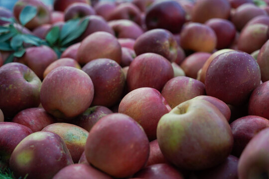 Fresh Red Apples Piled High At Local Market Stall