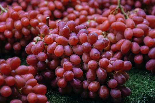 Sweet fresh grapes, blue grapes with drops of water