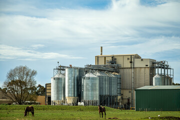 Rural industrial landscape: grain-processing facility - tall steel silos, elevated conveyors and industrial buildings rising beyond green pasture and horses grazing in foreground, Victoria, Australia © Quincy
