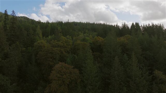 Drone shot of Scottish woodland at the start of autumn. Shot on the River Garry near Pitlochry this shot shows the trees starting to change colour from green to oranges and reds.
