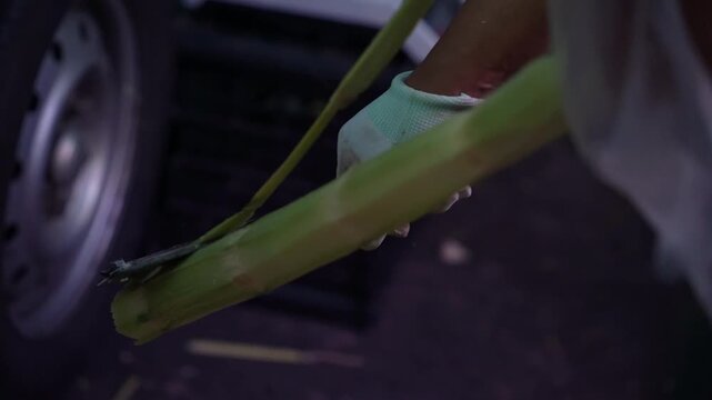 Worker cutting and peeling fresh sugar cane with traditional knife, preparing sweet natural fruit for consumption at local market or street vendor stall