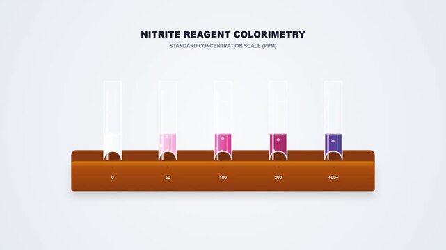 Nitrite reagent colorimetry animation showing chemical concentration