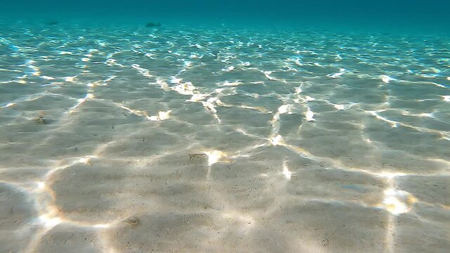 Shimmering underwater caustic light patterns on a sandy sea floor