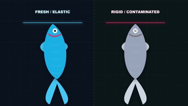 Infographic showing fish contamination and food safety testing