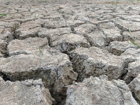 Dry cracked earth texture showing severe drought conditions in a barren landscape