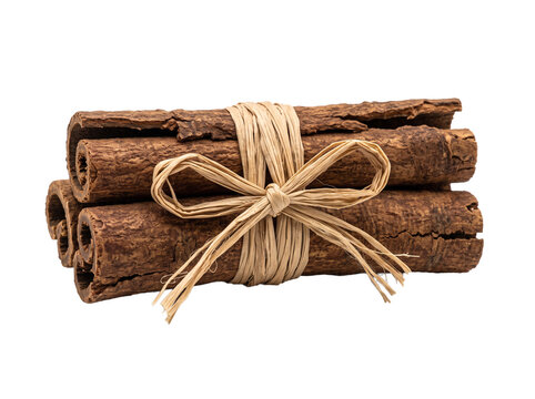 Cinnamon sticks tied with raffia bow isolated on transparent