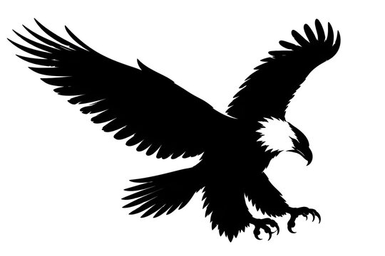eagle vector illustration
