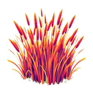 Autumn decorative ornamental grass isolated vector illustration