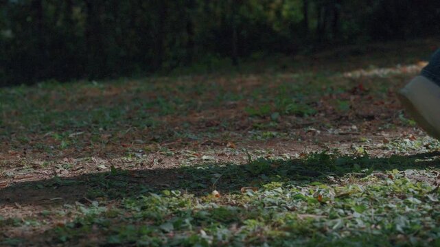 Close Up of Feet in White Sneakers and Jeans Walking on Forest Floor with Fallen Leaves