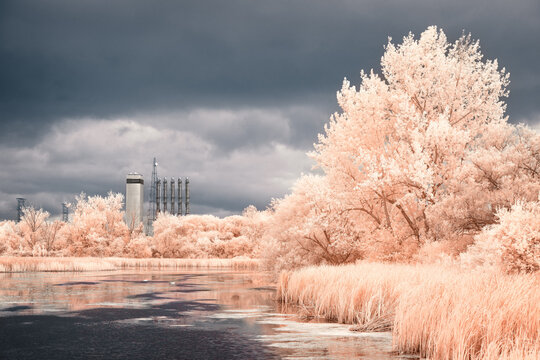 Infrared image at Pickering taken in 720 nm showing pink trees beside a marsh