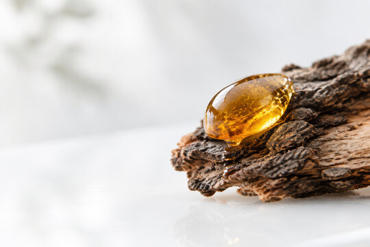 Golden copal resin drop on tree bark against white surface.