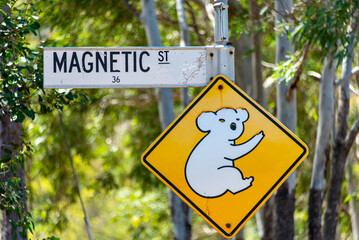 Koala Warning Sign on Magnetic Island - Queensland © Adwo