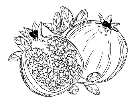 Whole and Cut Pomegranates with Leaves