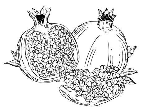 Pomegranates with Seeds and Leaves
