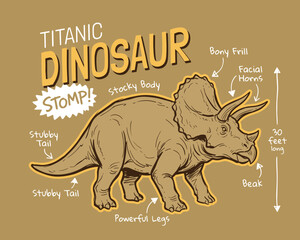 Vintage titanic dinosaur illustration. Anatomical triceratops infographic for kids. Retro stomp dinosaur poster graphic. Hand drawn prehistoric reptile tshirt art. © XMory