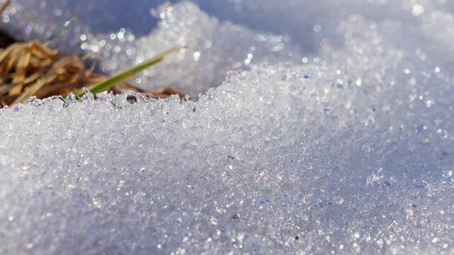 Sparkling melting snow blankets green grass in winter meadow, revealing patchy blades of lawn and soft blue shadows on ground under bright sunlight, showing calm thaw into spring.