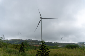 Wind turbine above grasses and tea fields at Cau Dat © IbragimovN