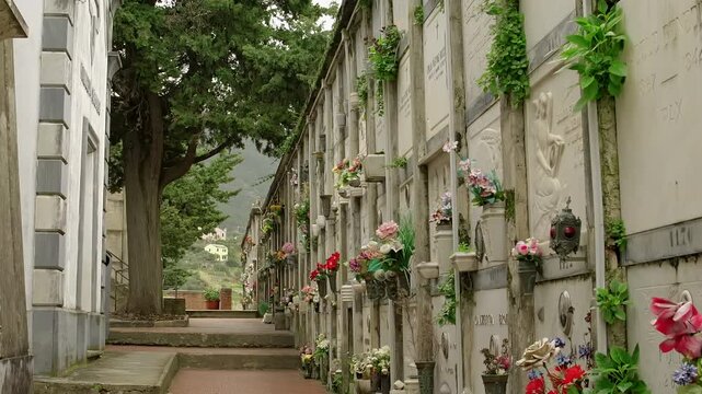 Flower Decorated Burial Vaults and Graves Line Peaceful Outdoor Cemetery Walkway