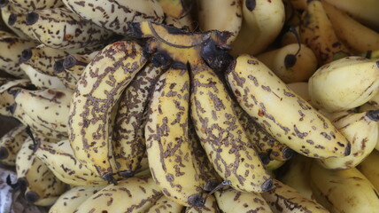 Fresh Ripe Yellow Bananas with Natural Brown Spots, Close-Up Tropical Fruit Background  © Fresh Foods
