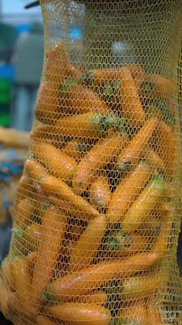 Packaging of carrot. Agro-food production warehouse automatic packing vegetables, factory line, Farming harvesting industry Сarrot packaged in bags for supermarket store market retail grocery shopping