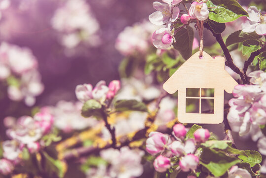 Symbol of the house on the branches of a flowering apple
