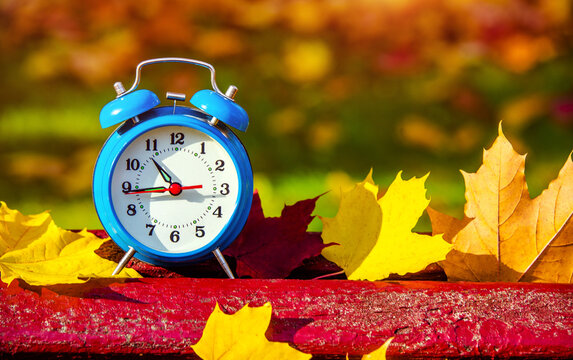 Clock with fallen leaves are on the bench

