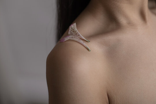 Close-up of shoulder with flower petals on smooth skin