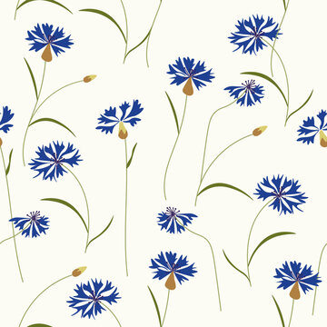 Cobalt Blue Cornflowers Seamless Floral Pattern