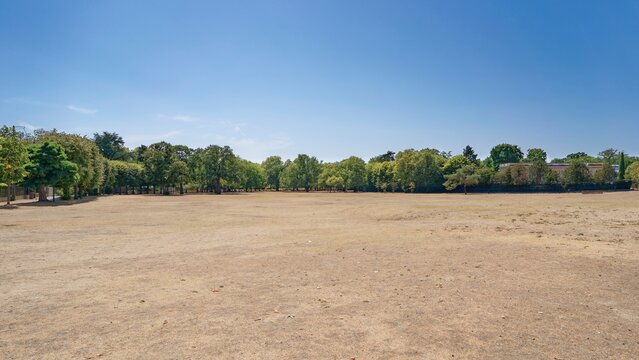 vue d'une pelouse brul&eacute;e par le soleil pendant la canicule cet &eacute;t&eacute; 2026