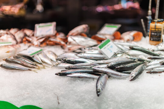 Fresh Fish Displayed on Ice at La Boqueria Market in Barcelona